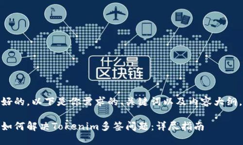 好的，以下是你需求的、关键词以及内容大纲。

如何解决Tokenim多签问题：详尽指南