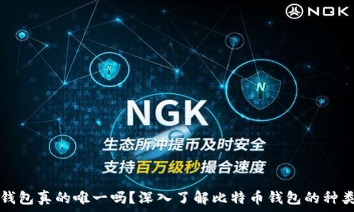   
比特币钱包真的唯一吗？深入了解比特币钱包的种类与特点
