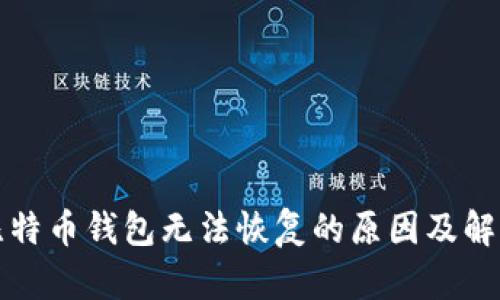 闪电比特币钱包无法恢复的原因及解决方案