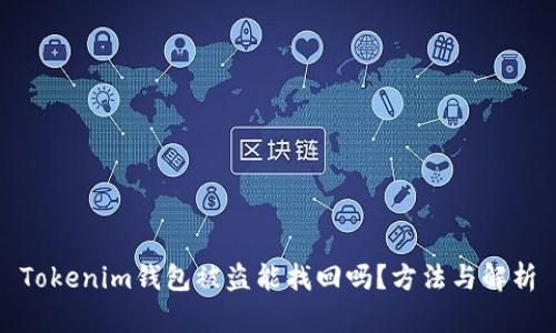 Tokenim钱包被盗能找回吗？方法与解析