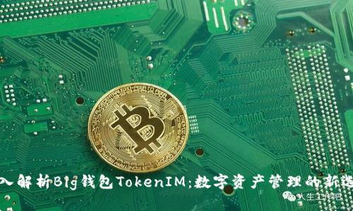 深入解析Big钱包TokenIM：数字资产管理的新选择