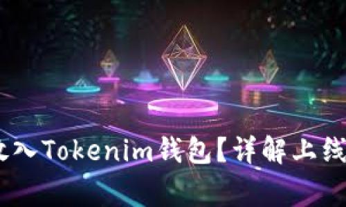 ## 如何将HT放入Tokenim钱包？详解上线步骤与注意事项