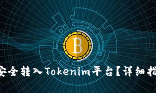 如何将SOL币安全转入Tokenim平台？详细指南与注意事项