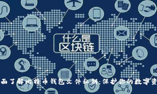 全面了解比特币钱包文件私钥：保护你的数字资产