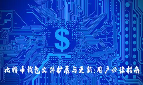 比特币钱包文件扩展与更新：用户必读指南