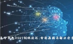 麦子钱包USDT到账延迟：分析原因与解决方案