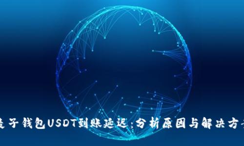 麦子钱包USDT到账延迟：分析原因与解决方案