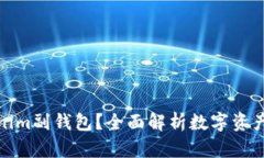 什么是Tokenim副钱包？全面