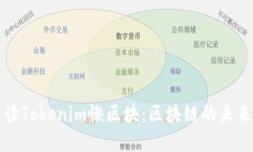 深入解读Tokenim懒区块：区块链的未来与挑战