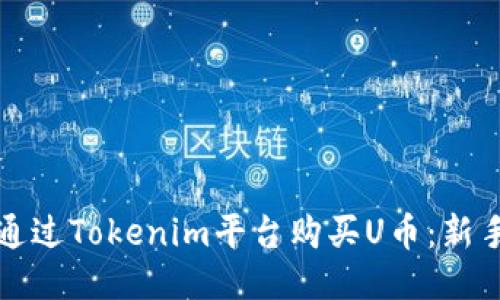 如何通过Tokenim平台购买U币：新手指南