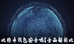 没有私钥的比特币钱包安全吗？全面解析比特币