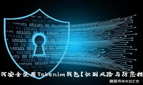 如何安全使用Tokenim钱包?识别风险与防范措施
