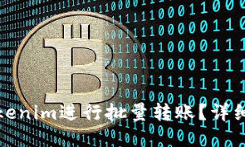 如何使用Tokenim进行批量转账？详细指南与技巧