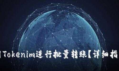 如何使用Tokenim进行批量转账？详细指南与技巧