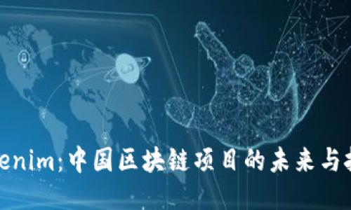 Tokenim：中国区块链项目的未来与挑战