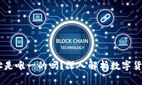 USDT数字钱包地址是唯一的吗？深入解析数字货币钱包地址的特性