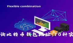 如何查询比特币钱包地址