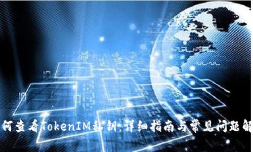 如何查看TokenIM私钥：详细指南与常见问题解答