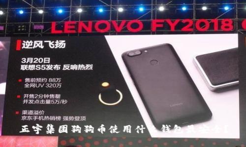 正宇集团狗狗币使用什么钱包最安全？