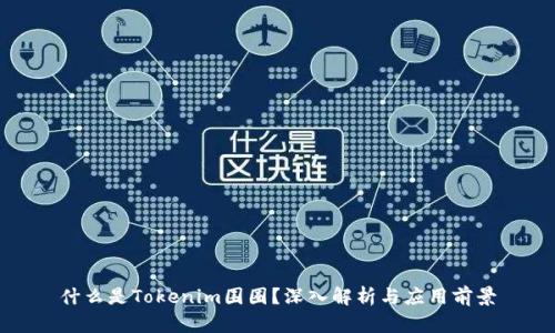 什么是Tokenim围圈？深入解析与应用前景