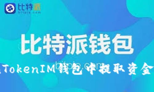 如何在TokenTokenIM钱包中提取资金 - 完全指南