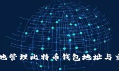 如何安全地管理比特币钱包地址与交易所账户