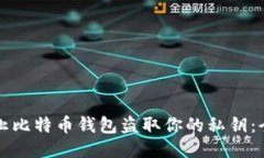如何防止比特币钱包盗取你的私钥：全面指南