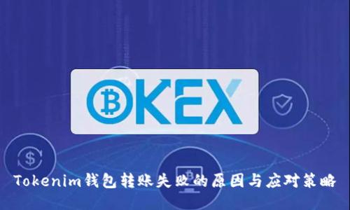 Tokenim钱包转账失败的原因与应对策略